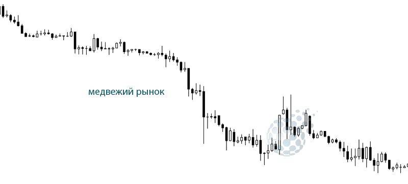 Доминирование медведей